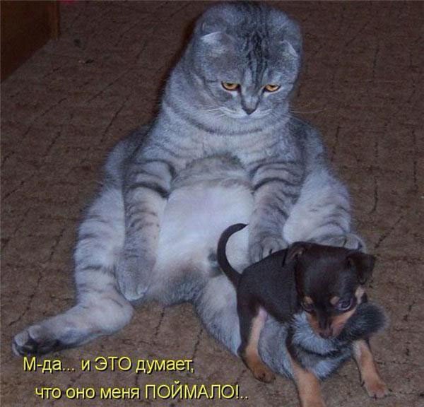 Надежда Гончарова |