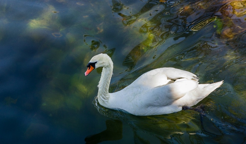 Андрей Вовченко | Мурманск