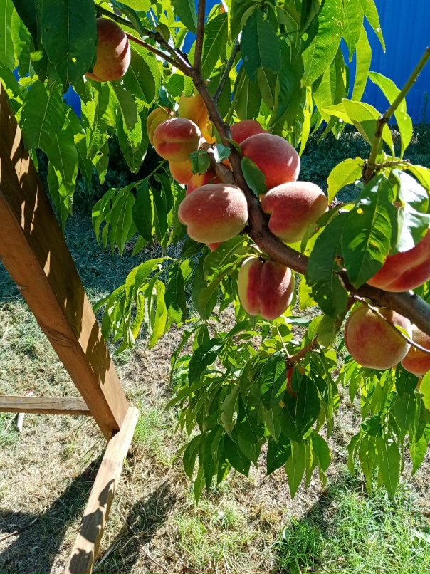 Татьяна Тарасова | Санкт-Петербург