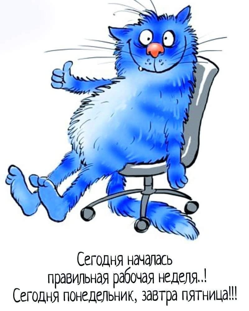 Смешные рисунки с надписями