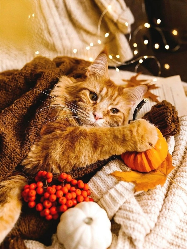 Яна Третьякова |