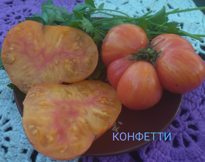 Светлана Конина | Кадниковский