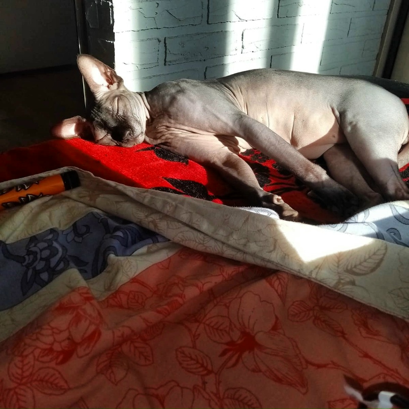 Настя Крутова | Рязань