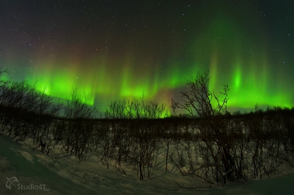 Aurora borealis in the sky over Voronezh between 4 and 5 am. Photo and video fro