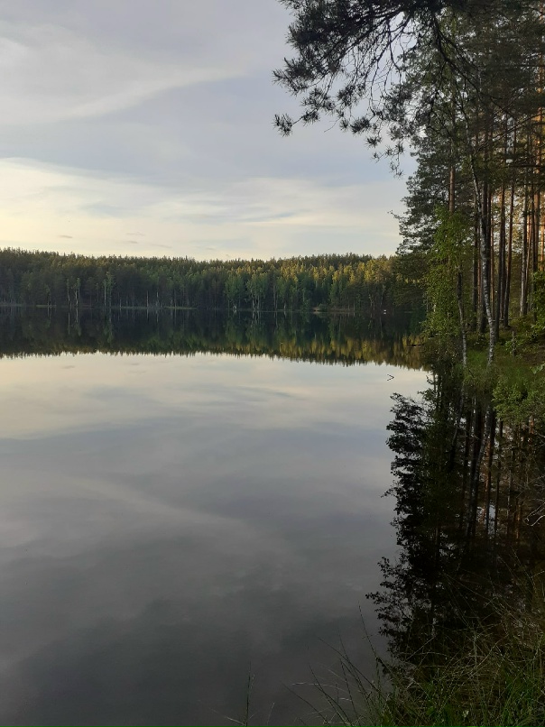 Озеро туманное приозерский район Озеро туманное приозерский район