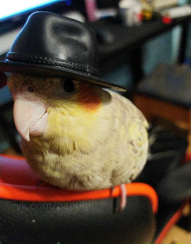 Дядя Фёдор | Александров