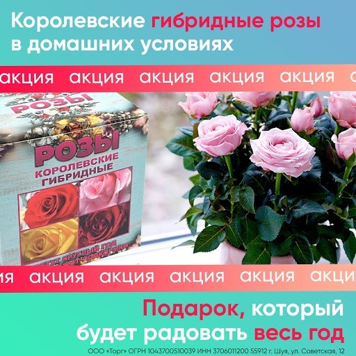 Кейс: «Королевские гибридные розы» в MyTarget!, изображение №6