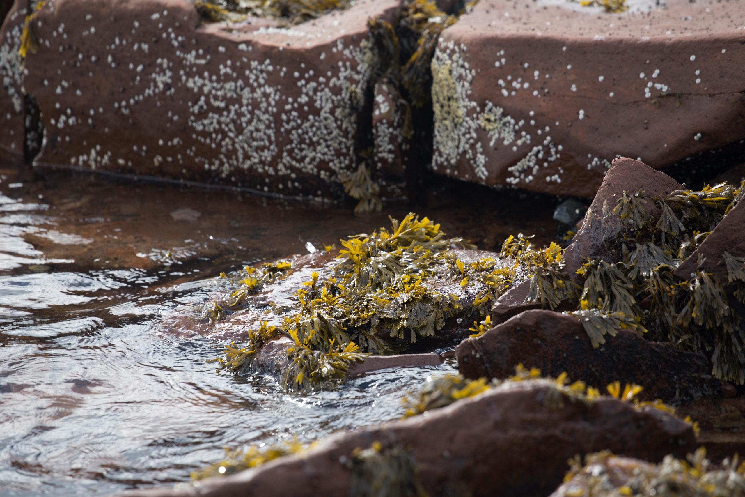 Арктика-2022 -10.До Кузомени и обратно. Арктика-2022 -10.До Кузомени и обратно.