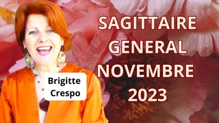 SAGITTAIRE NOVEMBRE 2023, FORCE AVEC TOI #brigittecrespovoyance #2023 #novembre #tarot #sagittaire