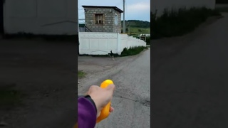 Ультразвуковой отпугиватель собак в действии