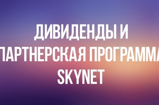 Партнерская программа SKYNET ✔
