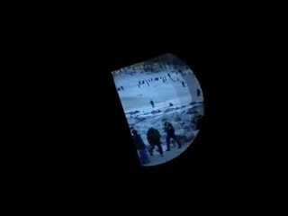 Die Polizei - Dein Freund und Gefährder 😂