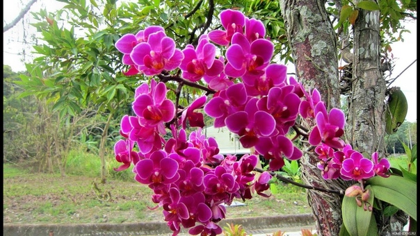Вьетнам. Тайны полуострова мильтоний Смотреть всем , Vietnam.