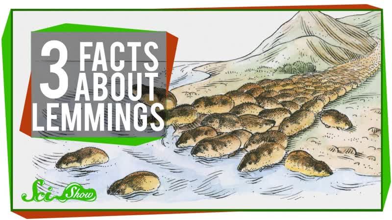 3 Facts About