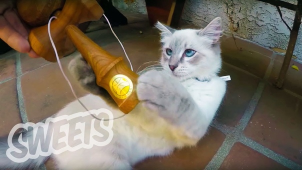 Alex Hirota, , Backyard Bangers Vol. 1, , Sweets