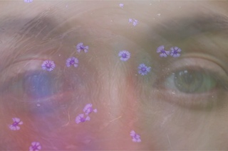 дору белу — ミラナ’влечение