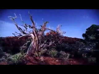 Антуан де Сент Экзюпери. Молитва. Искусство маленьких шагов.