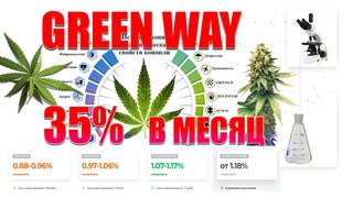 ДОХОД 35% В МЕСЯЦ ОТ GREEN WAY НА КОНОПЛЯНОМ БИЗНЕСЕ О ЧЕМ ПРОЕКТ