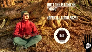ВИТАЛИЙ МАЛЫГИН МОРЕ (Official Audio 2023)