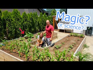 Our Garden Can Now Water Itself! - How to Harness Gravity