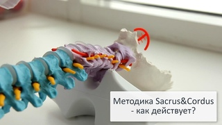 Методика Sacrus&Cordus - как действует Рассказывает автор