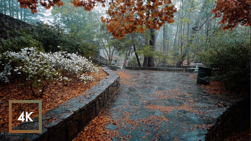 Nature Walk in Thunderstorm, Binaural Rain on Umbrella Sounds for Sleep and Study,