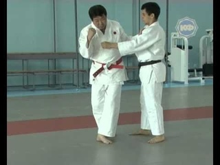ЗВЁЗДЫ ЯПОНСКОГО ДЗЮДО Tsukio KAWAHARA 8 DAN.  6