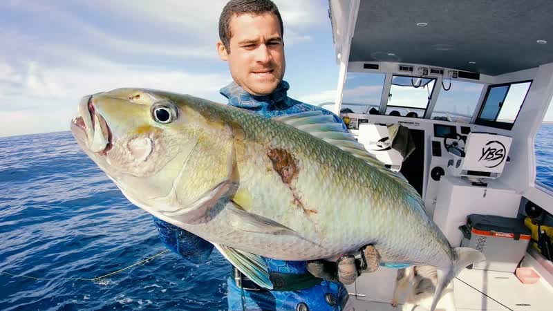 Spearfishing Tips For Hunting MONSTER JOBFISH Catch And Cook, Bird Rescue, GOPRO x YBS Ep