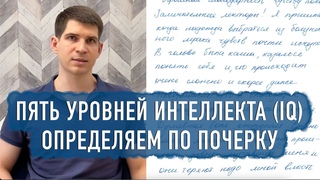 Пять уровней развития интеллекта (IQ) - отражение в почерке
