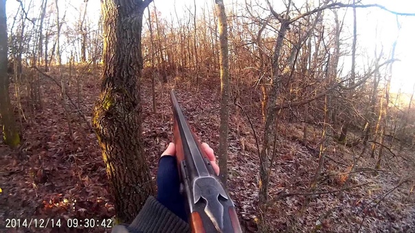 Лов на дива свиня ( Wild boar hunting