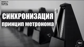 Синхронизация, принцип метронома | Как быстро развить сильные качества