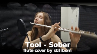 Tool - Sober (flute cover by stillborn)