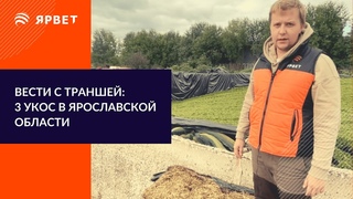 Заготовка сенажа. 3 укос. Анализ СВ прямо на траншее!