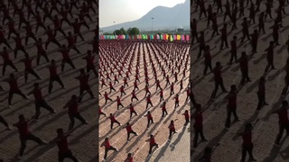 The most spectacular kungfu school#boxing