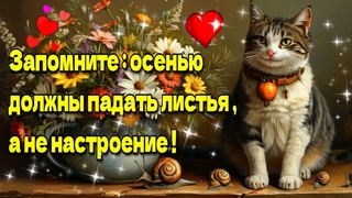🌞☕💗Самого доброго осеннего  утра!🌞🥀Благословенного дня!💗Красивая музыкальн