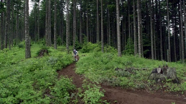 Giant 27. 5 Ride Without