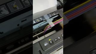 Vinyl Sticker Roll Printing with Desktop Printer Epson L1800 / L1300