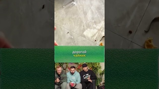 Попробуй не засмеяться challenge  #shorts #зубарев #tiktok     @greentiee