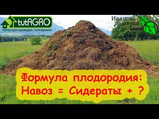 ВЕЛИКИЙ ОБМАН: вся правда о сидератах!! Чем можно заменить навоз и КамАЗ удобрений