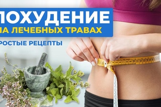 Травы для похудения. Как снизить вес? Как уменьшить аппетит?