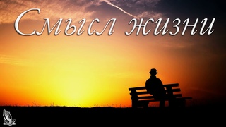 Смысл жизни. П. П. Изаак. МСЦ ЕХБ