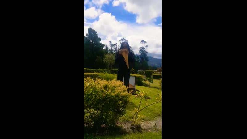 Alto Vuelo Ecuador Syco vive video ll 2020