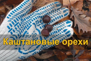 🌰 Сбор лесных каштанов. Собираем и готовим каштановые орехи