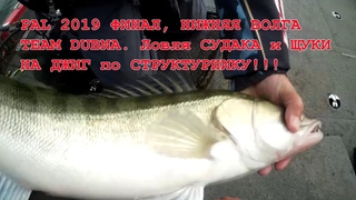 PAL 2019 ФИНАЛ, НИЖНЯЯ ВОЛГА, 1 тур. TEAM DUBNA. Ловля СУДАКА и ЩУКИ НА ДЖИГ по СТРУКТУРНИКУ!!!