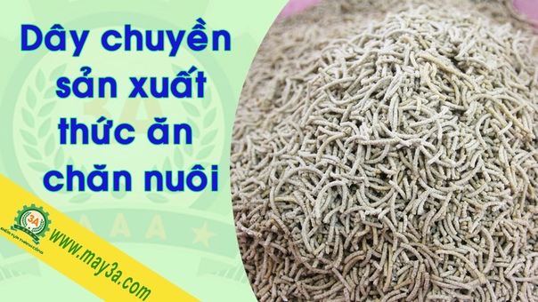 Dây chuyền chế biến thức ăn chăn