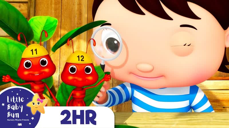 Learn to Count To 20 Song , Nursery Rhymes and Kids Songs, Little Baby