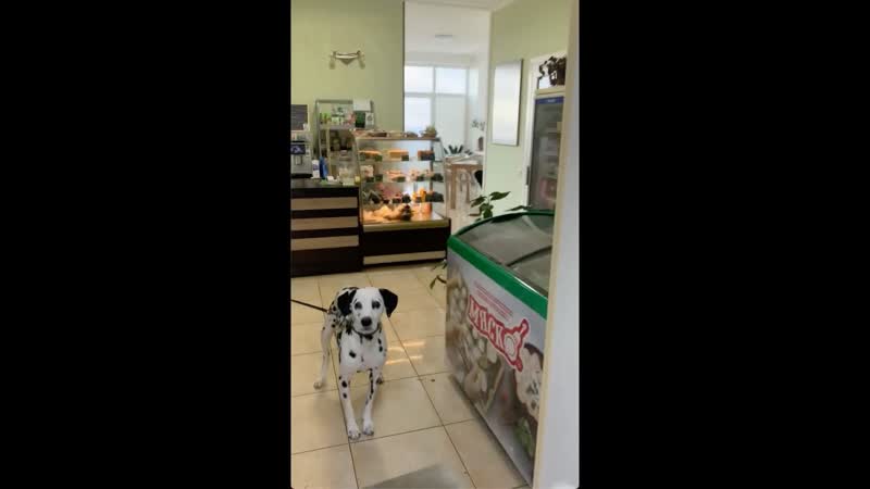 Crimean neighborhood bakery