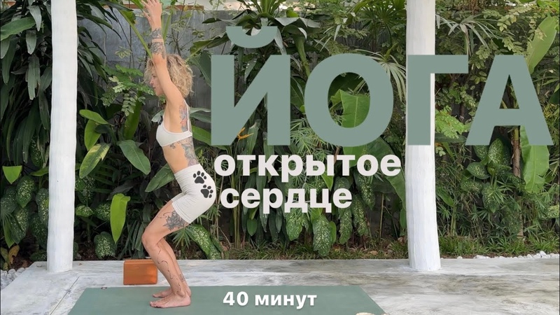 ЙОГА , 40 минут, Cat on yoga